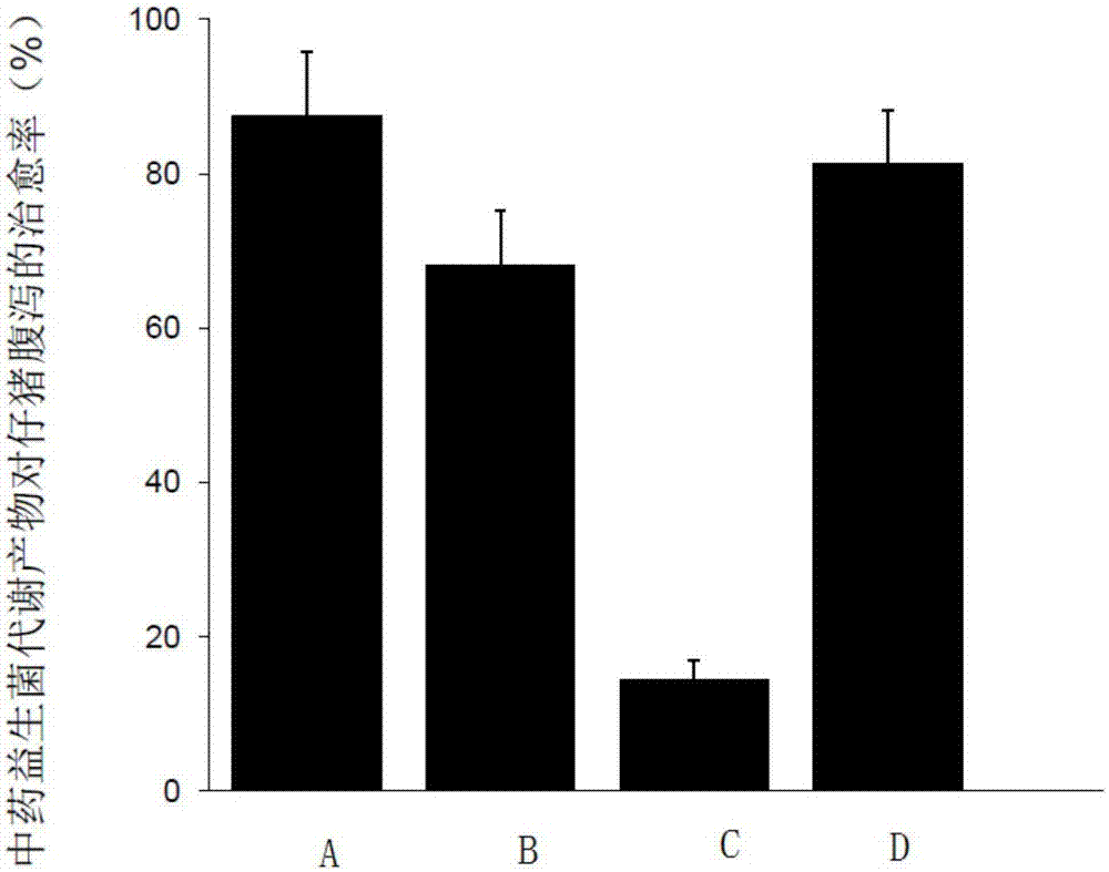 Preparation method of traditional Chinese medicinal probiotic fermentation metabolite for preventing and treating bacterial diarrhea of piglets