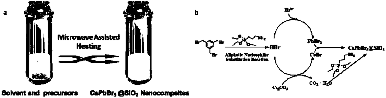 Silicon dioxide coated caesium-lead-bromine-perovskite nanocrystal compound and microwave assisted heating synthesis method thereof