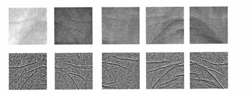 Palmprint recognizing method and device