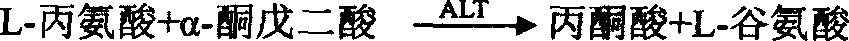 Glutamate-pyruvate transaminase determination method and glutamate-pyruvate transaminase determination reagent kit