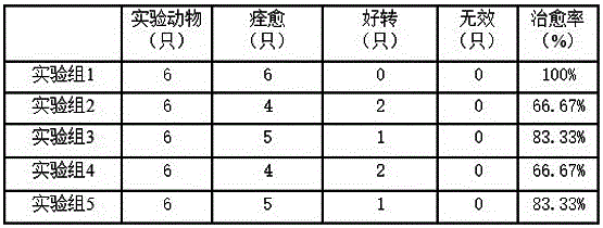 Drug composition for treating animal acariasises and preparation method and application thereof