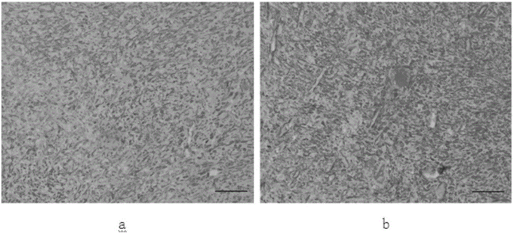 Polypropylene mesh/electro-spinning nano-fiber membrane as well as preparation method and application thereof