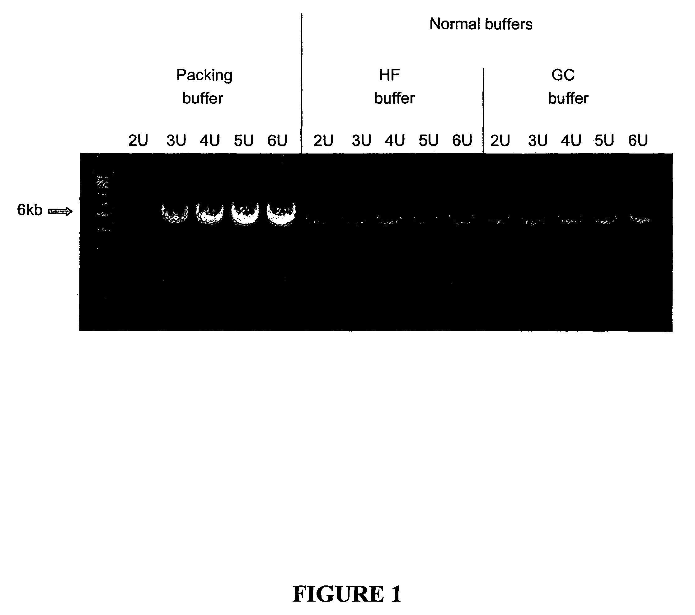 Reaction buffer composition for nucleic acid replication with packed DNA polymerases