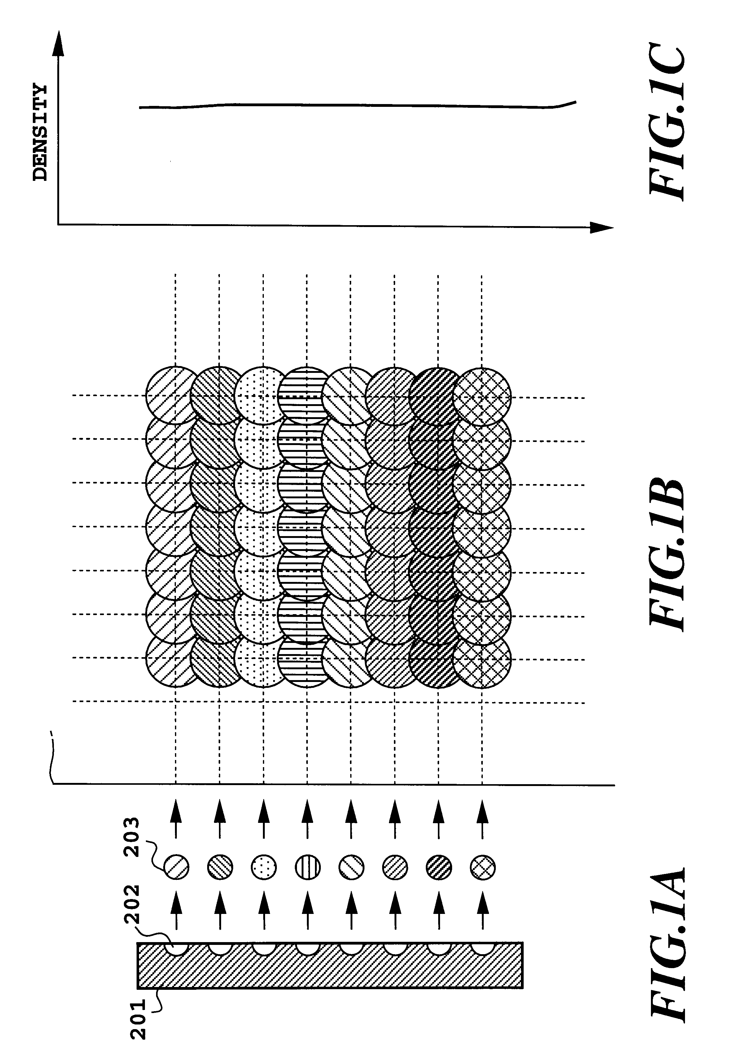 Adjustment method of dot printing positions and a printing apparatus