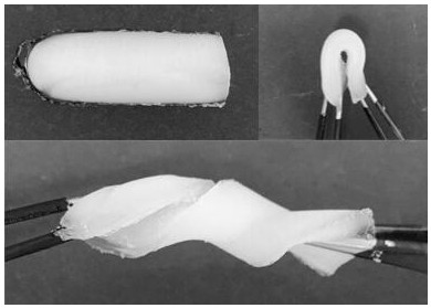 A kind of synthetic method of artificial turf fiber surface modification functional gel