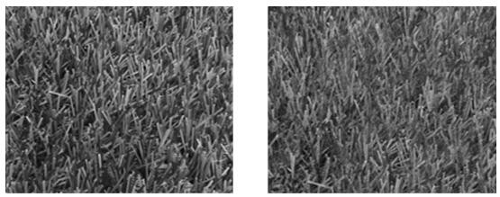 A kind of synthetic method of artificial turf fiber surface modification functional gel