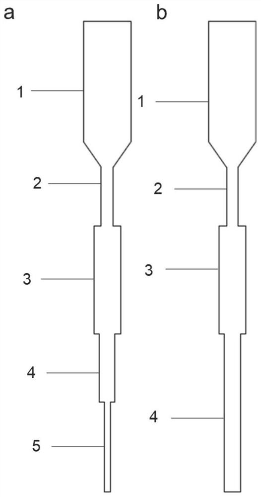 Construction method and application of megacolon animal model