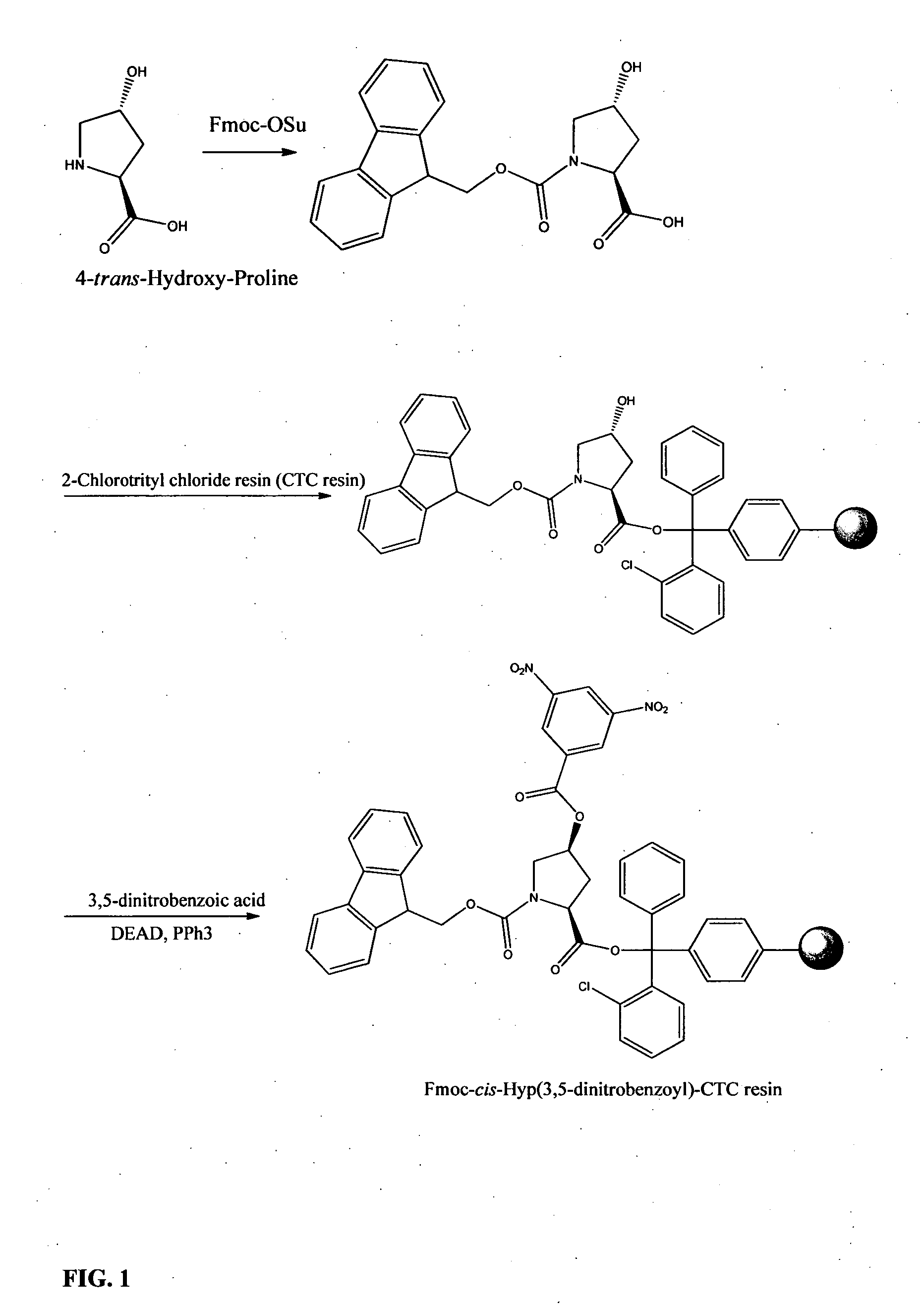 Preparation of phalloidin and its derivatives