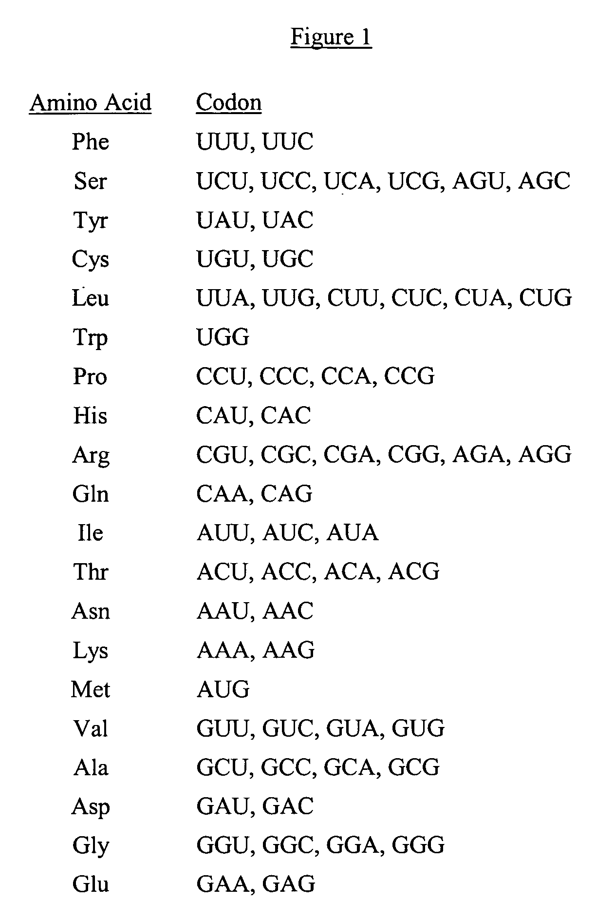 Synthetic nucleic acid molecule compositions and methods of preparation