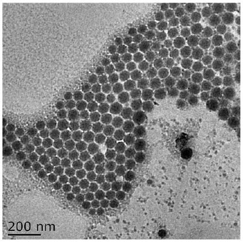 Preparation method of nano copper sulfide applied to tumor photo-thermal therapy