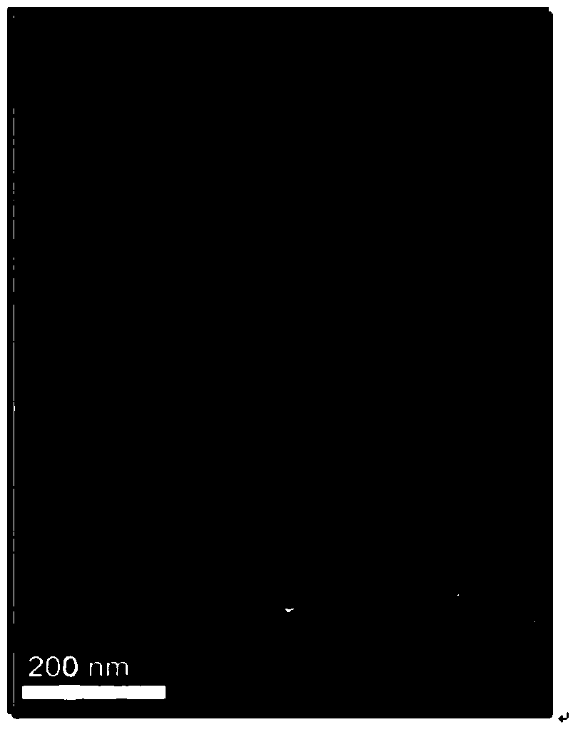 Composite material of high-nitrogen-doped grapheme and ultrathin MoSe2 nanosheets and preparation method of composite material