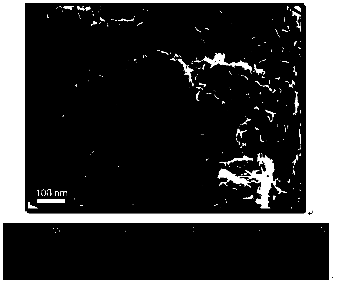 Composite material of high-nitrogen-doped grapheme and ultrathin MoSe2 nanosheets and preparation method of composite material