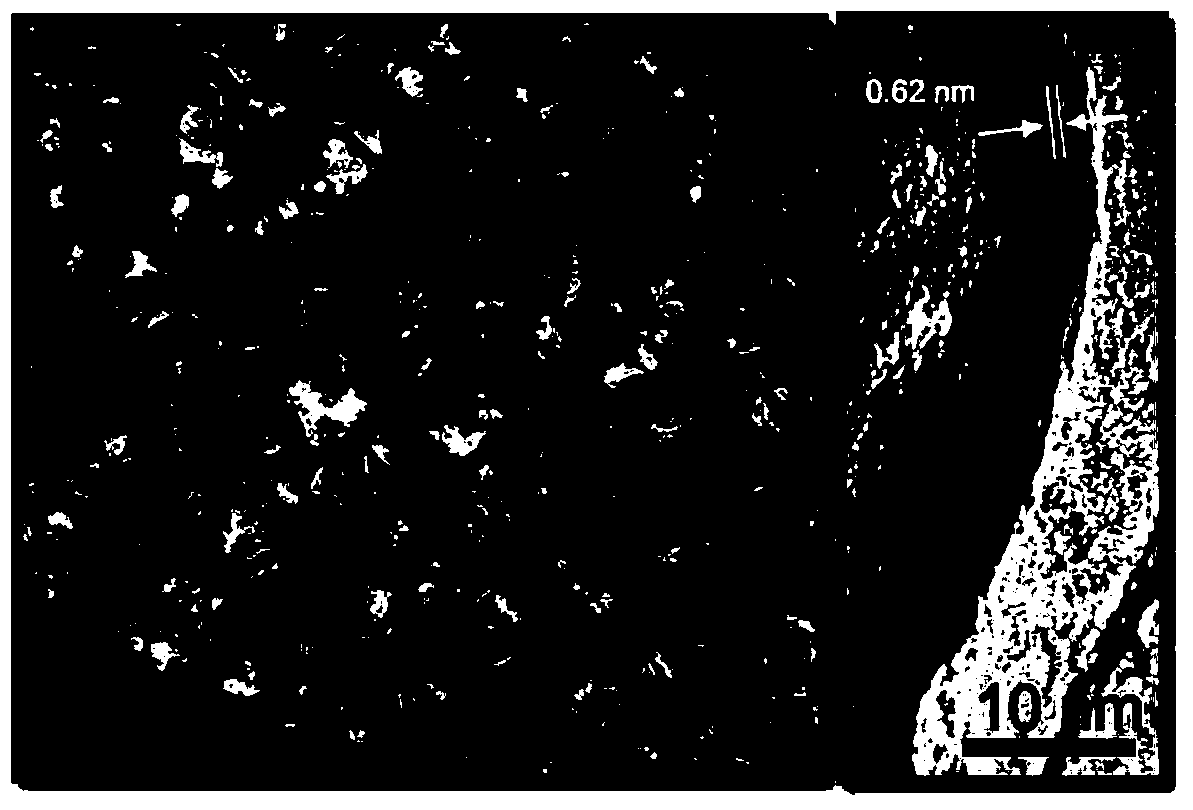 Composite material of high-nitrogen-doped grapheme and ultrathin MoSe2 nanosheets and preparation method of composite material