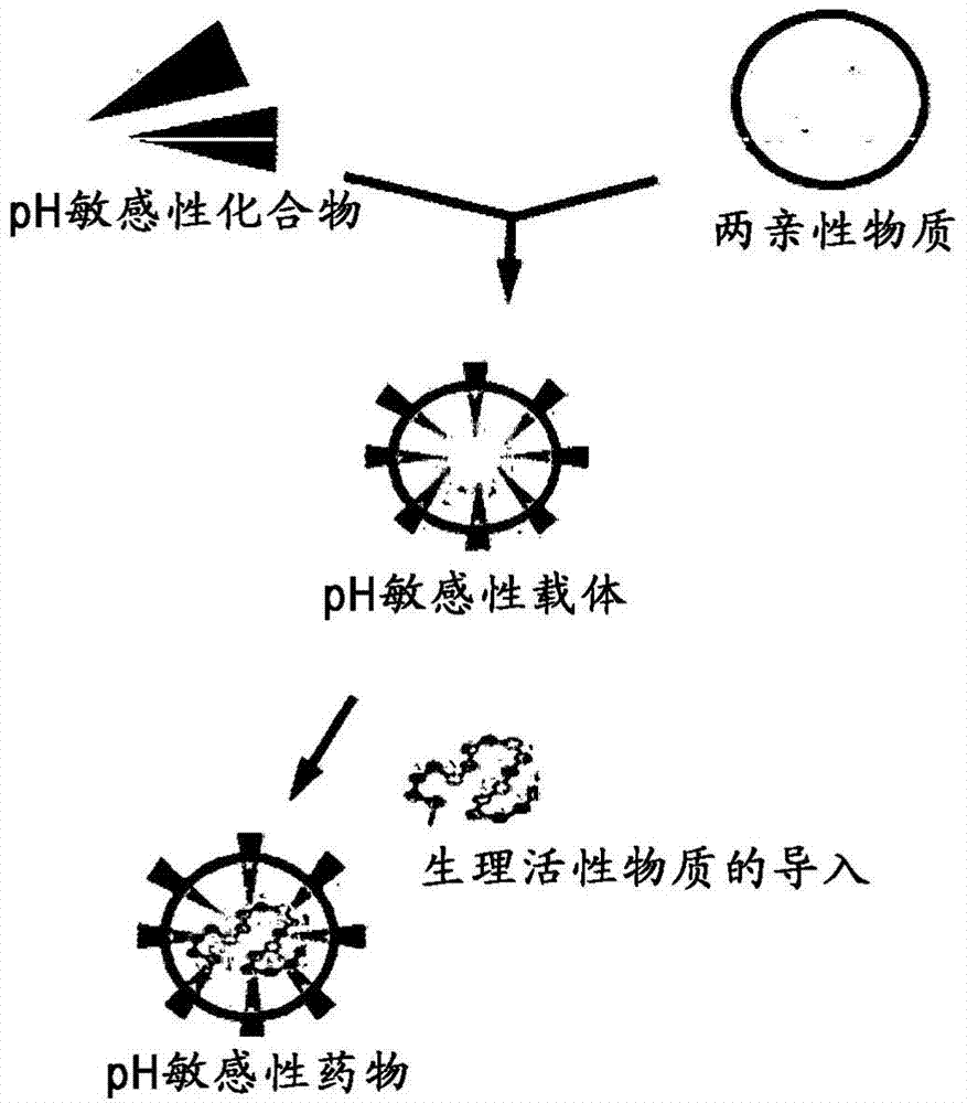 pH-sensitive carrier and production method thereof, pH-sensitive drug containing the same, pH-sensitive drug composition, and culture method using the same