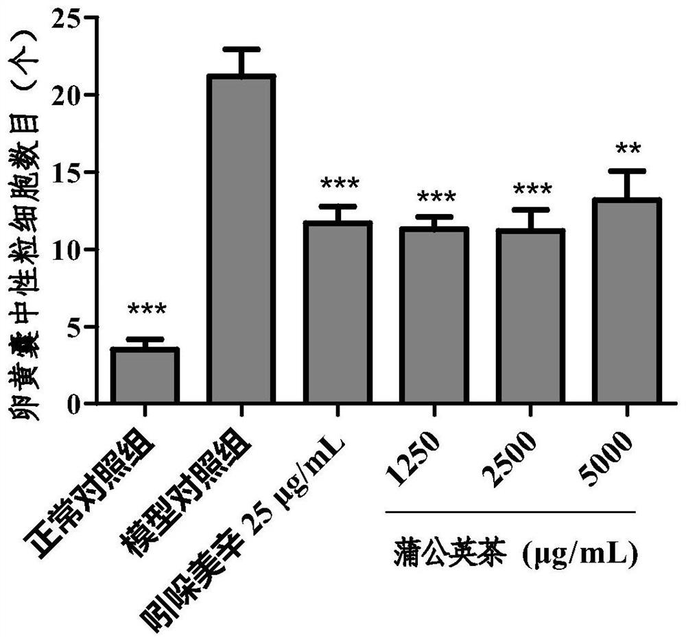 Semi-automatic production line of substitutional tea, dandelion substitutional tea and preparation method of dandelion substitutional tea