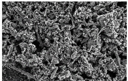 Preparation method of biomass charcoal-based magnetic activated sludge and application of biomass charcoal-based magnetic activated sludge to uranium-bearing wastewater treatment