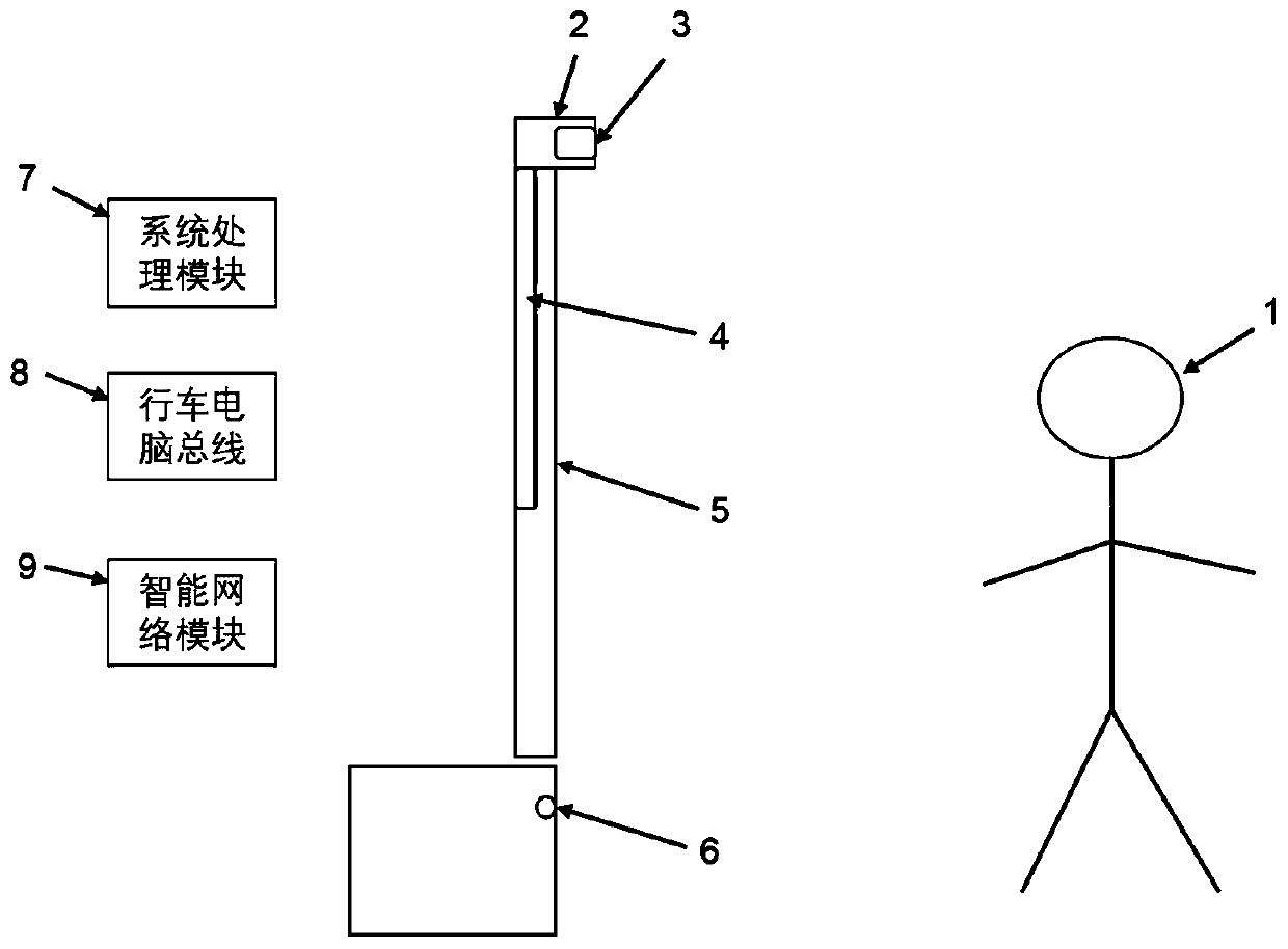 Vehicle tail door automatic opening system and vehicle