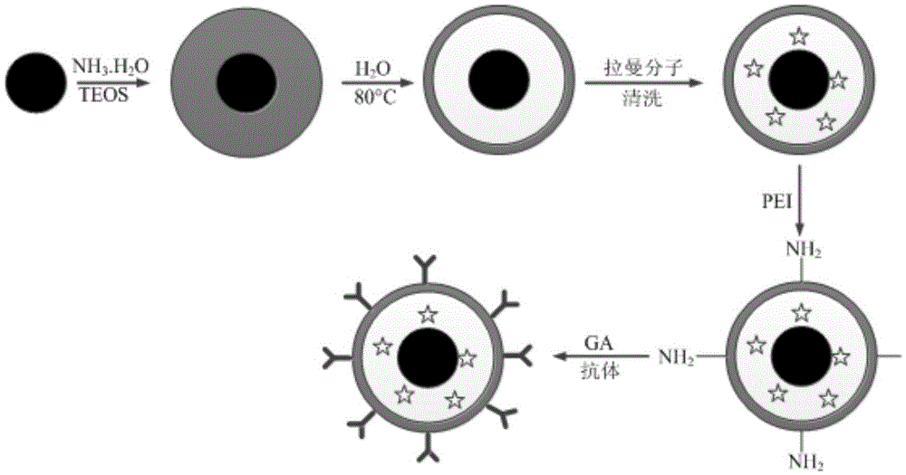 Fluorescence-SERS dual-mode super-resolution imaging probe and its preparation method and use method