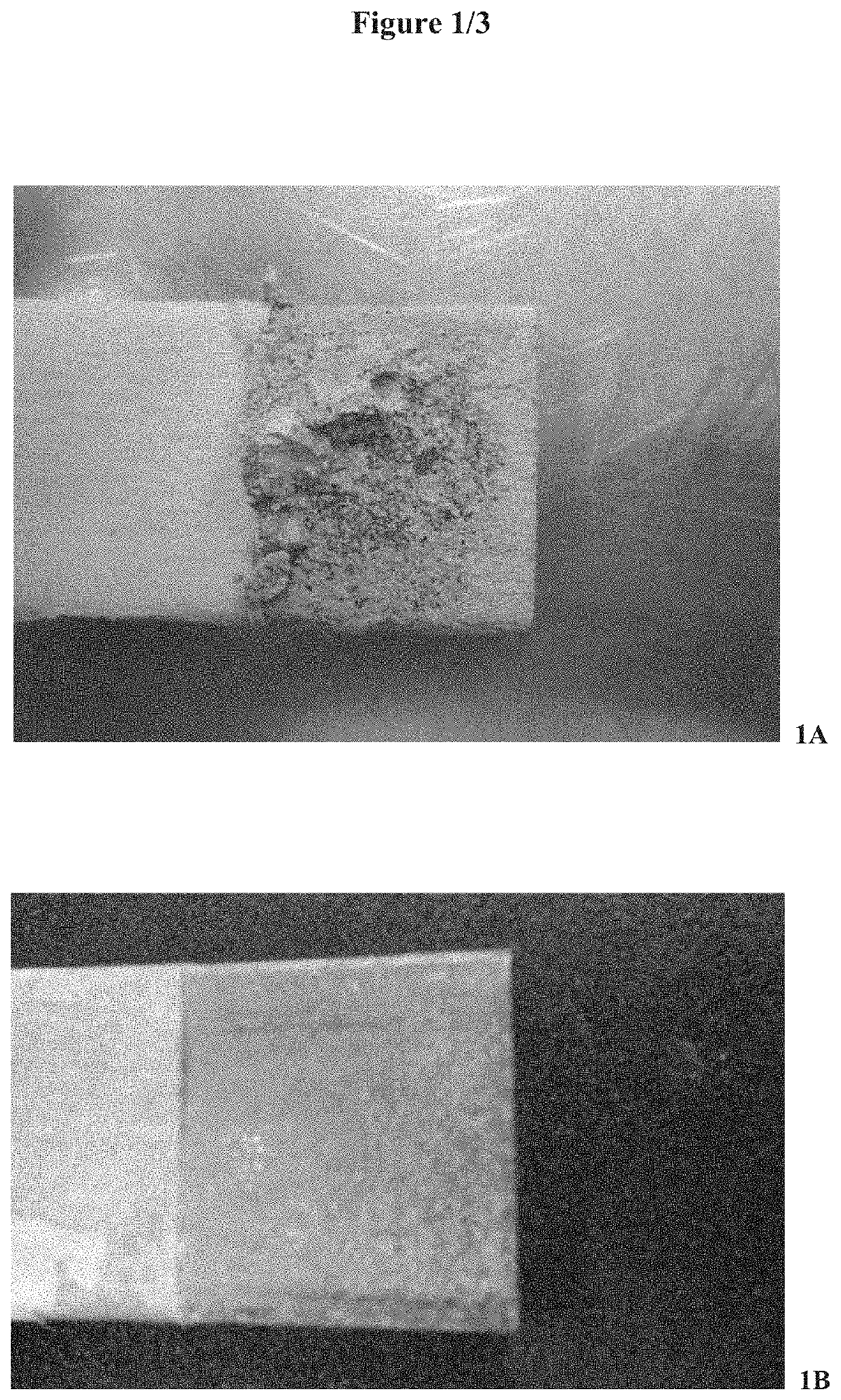 High-performance textured coating