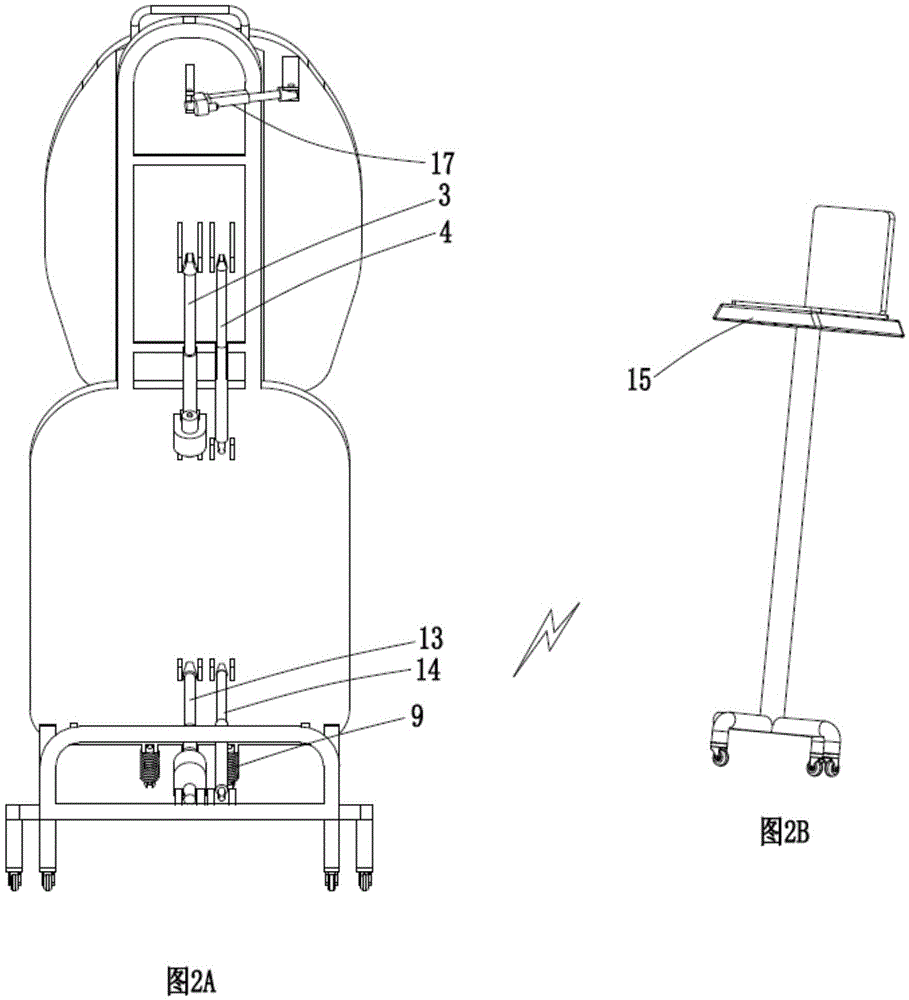 Adjustable balance standing bed