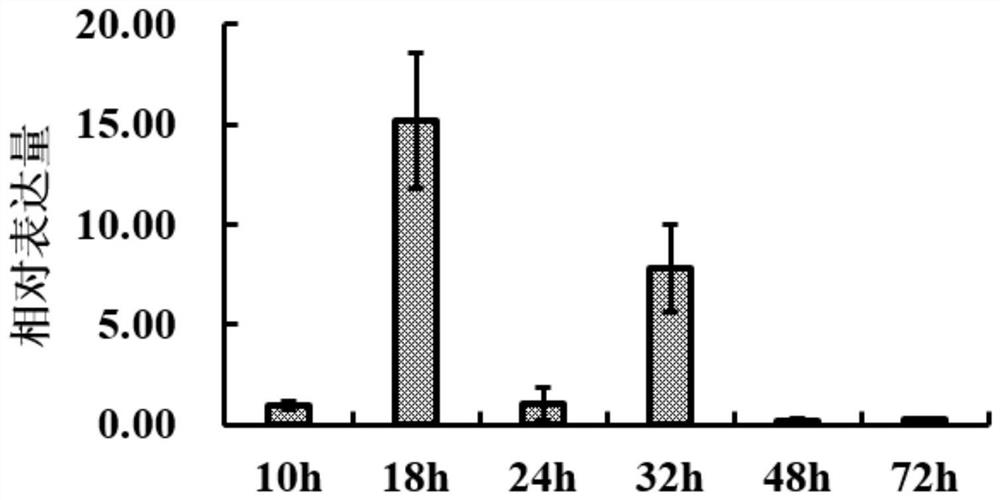 A pathogenicity-related gene of rice sheath blight and its application