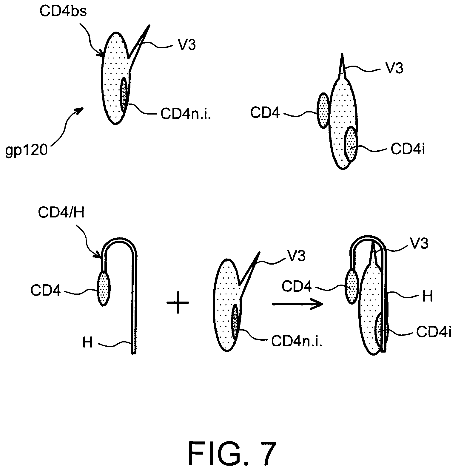 Anti-HIV composition, production method thereof and medicament