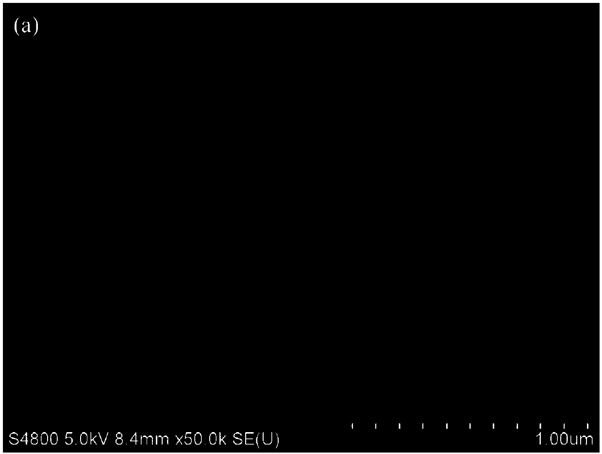 Interface modification method of organic metal halide perovskite solar cell