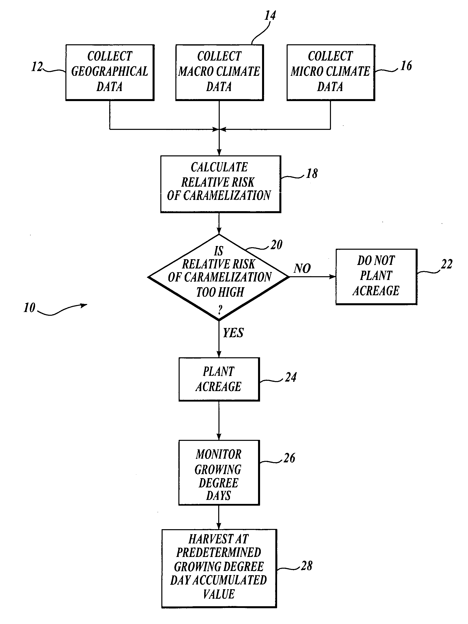 Agronomic method for commercial production of the green Cicer bean