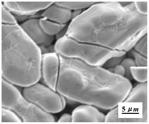 Preparation method of TD3 alloy surface oxidation-resistant coating