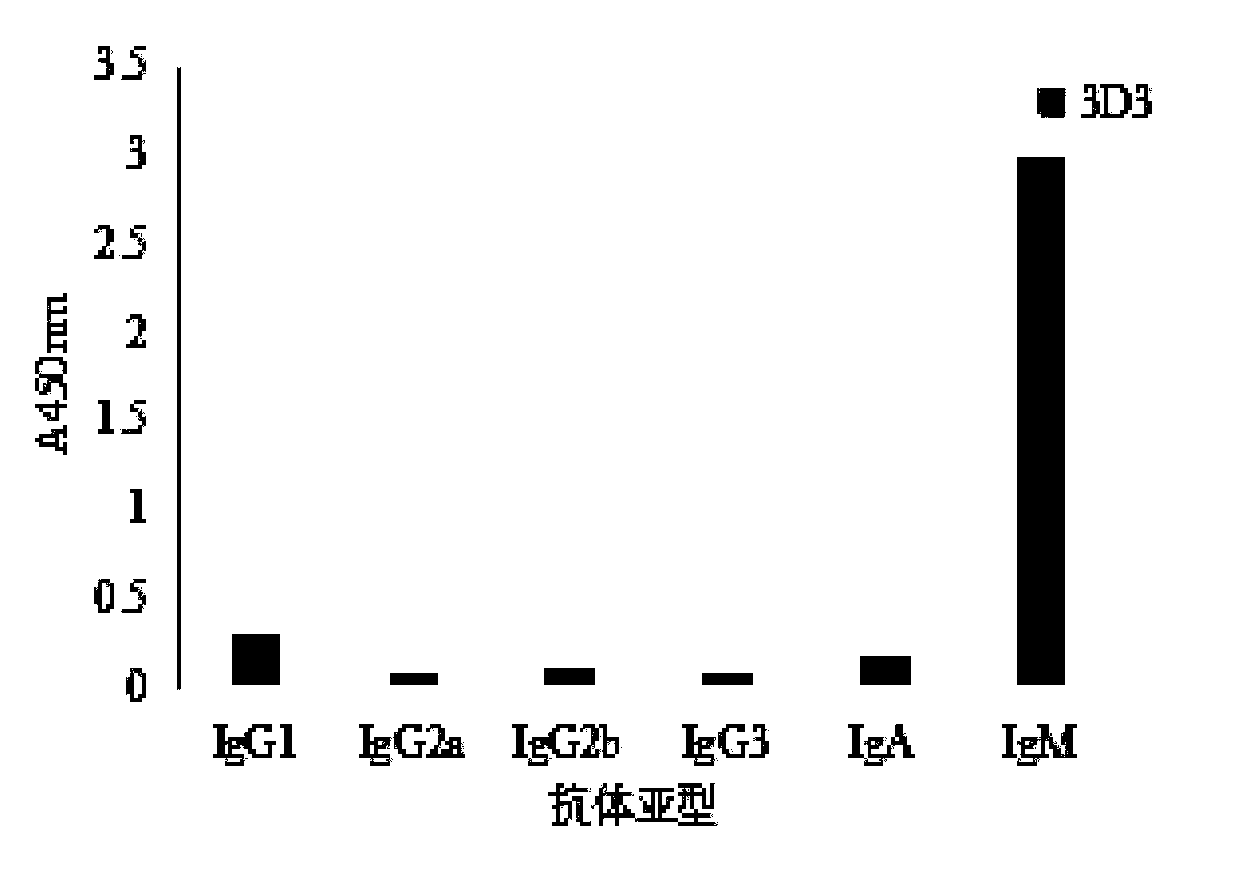 Anti-goat skeletal muscle troponin I monoclonal antibody and application thereof