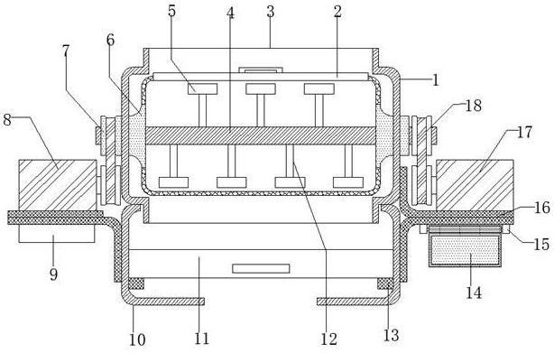 Gynostemma pentaphylla fixation treatment device