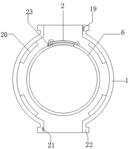 Gynostemma pentaphylla fixation treatment device