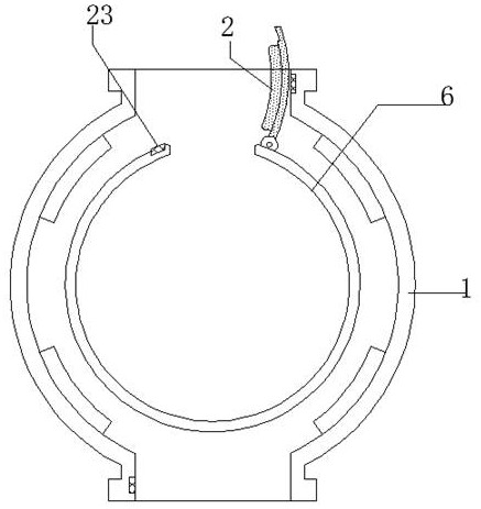 Gynostemma pentaphylla fixation treatment device