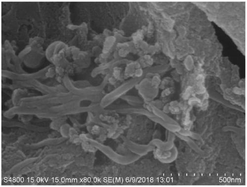 Geopolymer-based wood adhesive and preparation method and application thereof