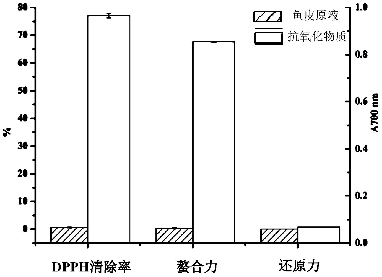 A Fermented Product of Turbot Fish Skin with Antioxidant Activity