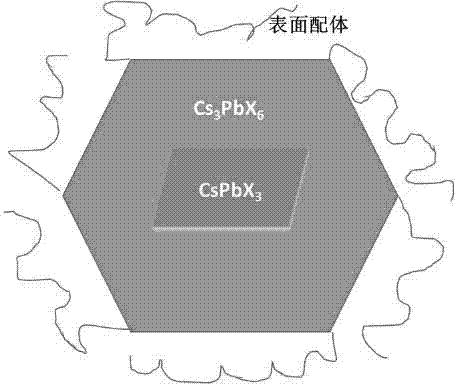 Preparation method of core-shell structural perovskite quantum dot