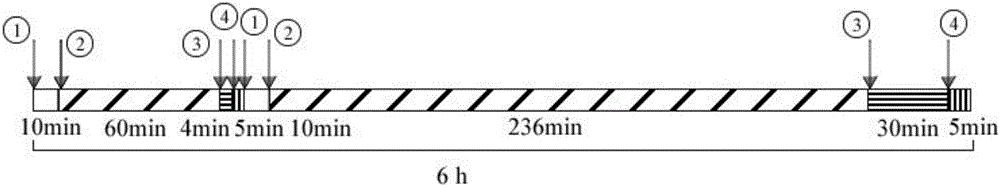 Aerobic dynamic drainage method for rapid domestication of activated sludge mixed flora to prepare polyhydroxyalkanoate