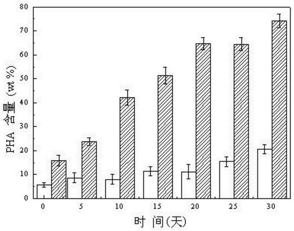 Aerobic dynamic drainage method for rapid domestication of activated sludge mixed flora to prepare polyhydroxyalkanoate