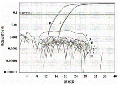 A kind of kit for detecting Clonorchis sinensis and its application