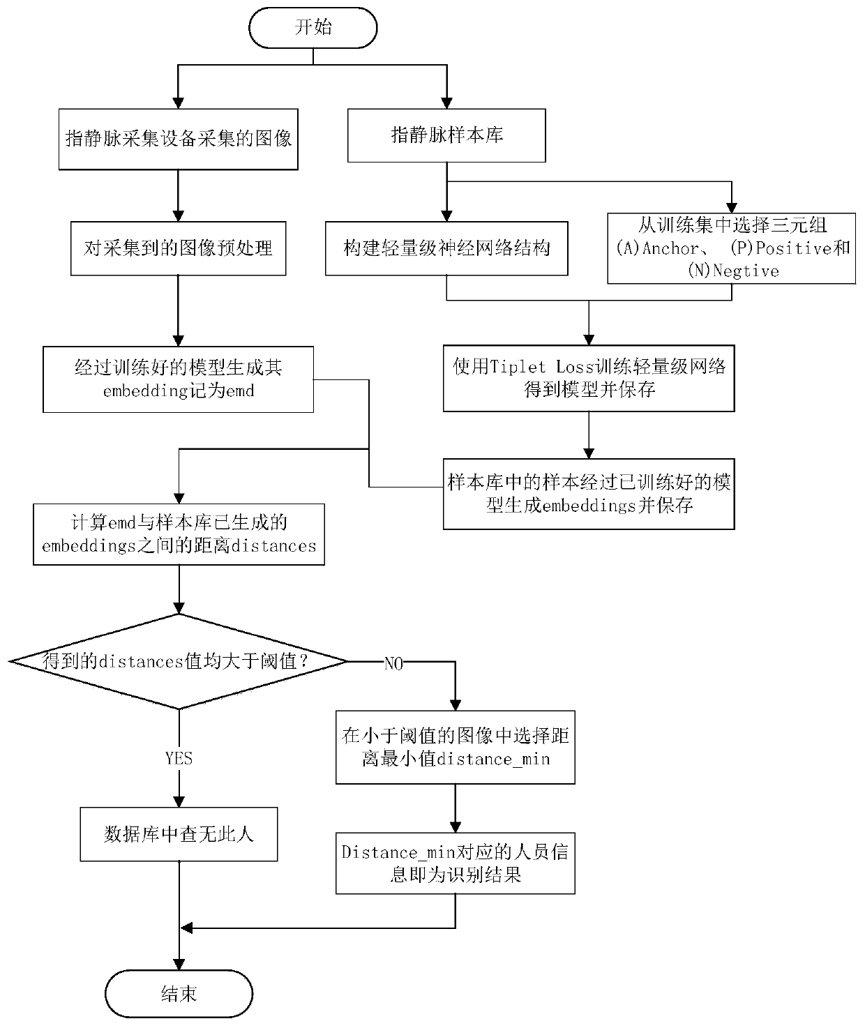 Finger vein recognition method and system based on triple loss and lightweight network