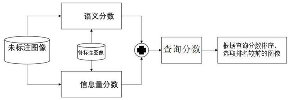 Image classification method, system, medium and device during class distribution mismatching