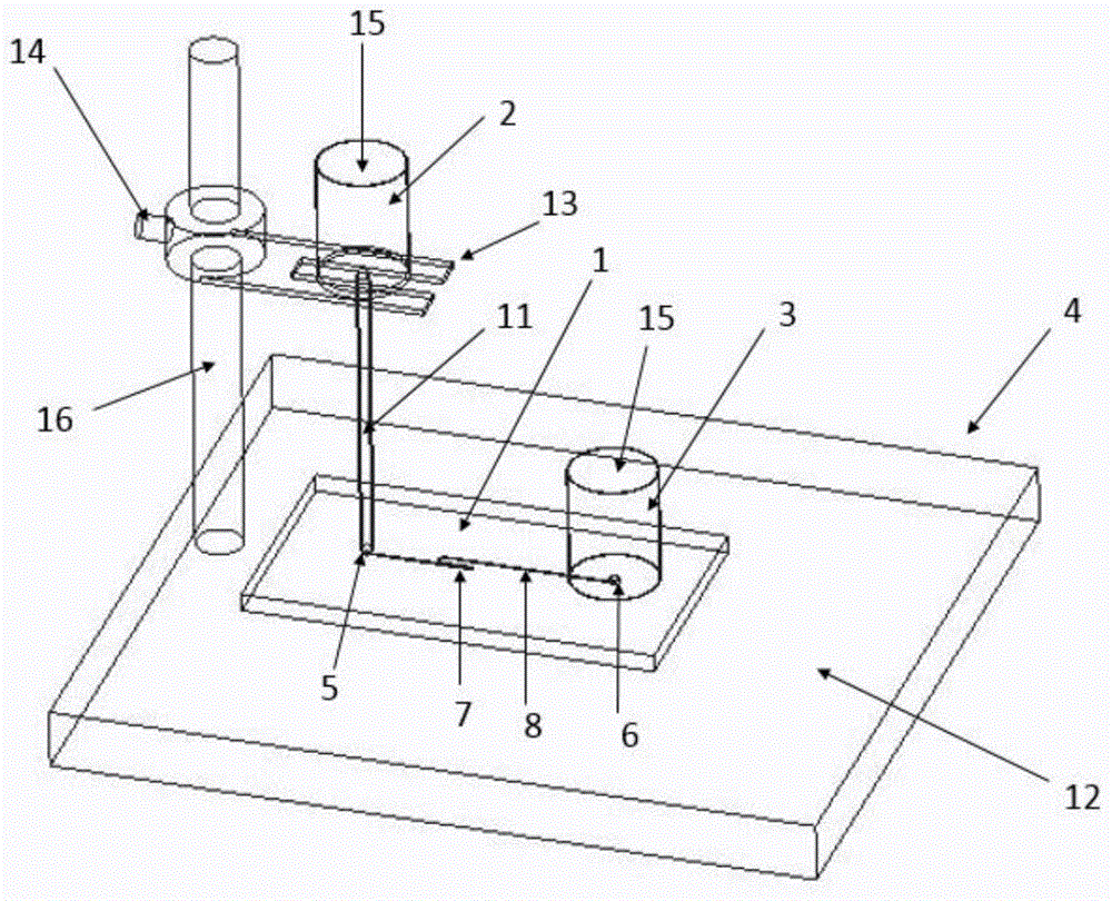 Microfluidic chip for cell culture, and dynamic culture device and method