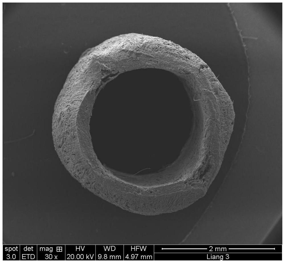 A kind of silk fibroin fiber hollow nerve guide and its preparation method and application