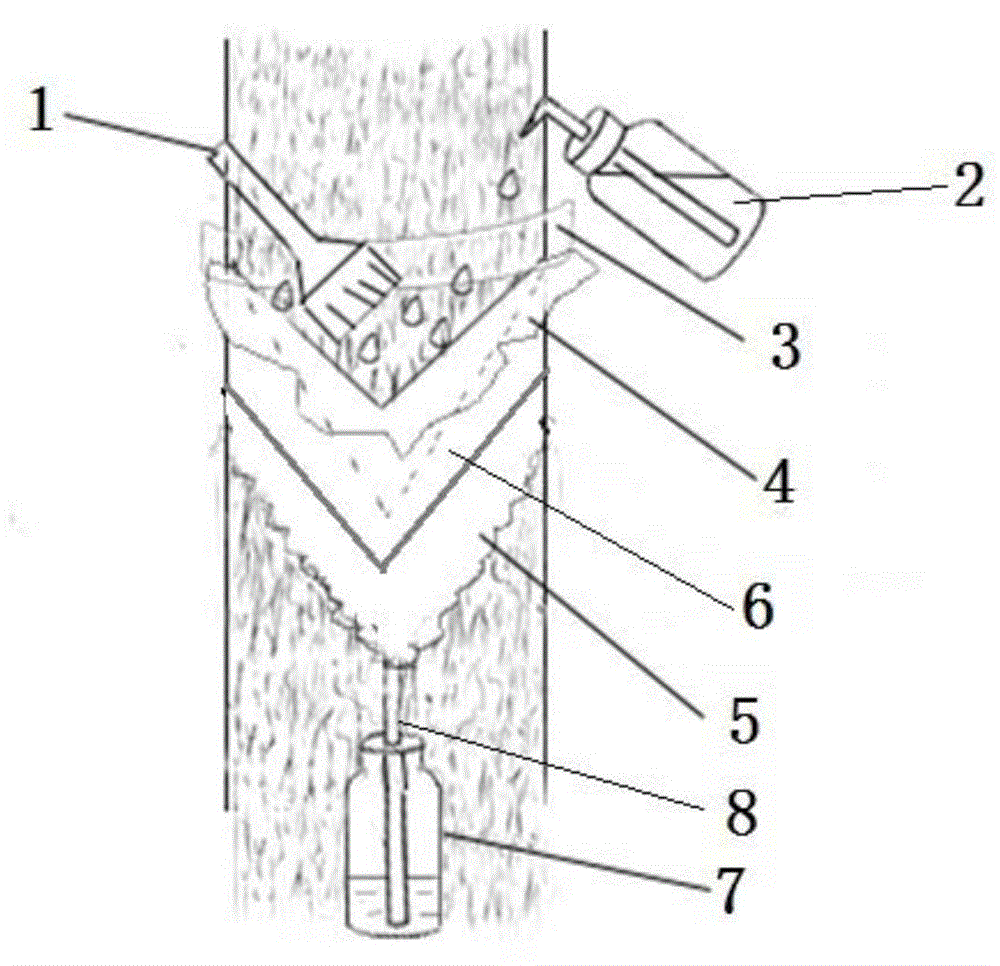 Plant trunk surface particulate matter sampling device and particulate matter adsorption quantity measuring method