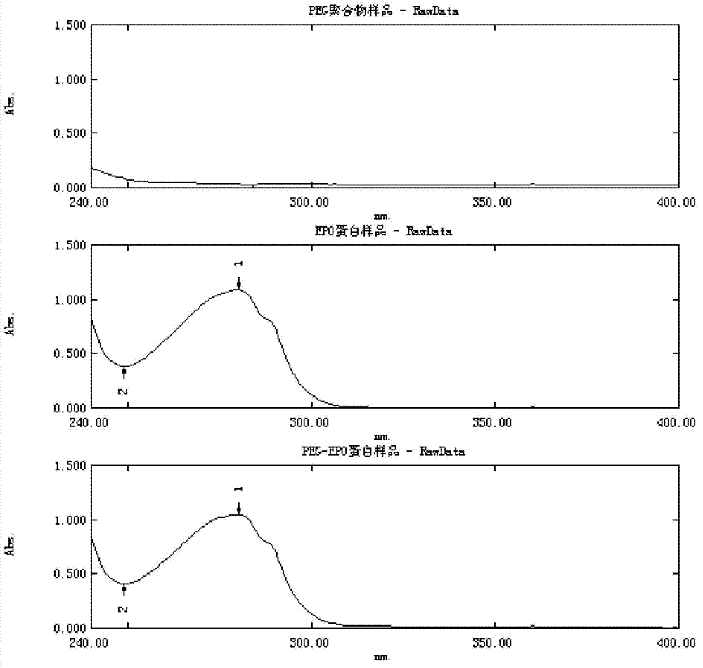 Continuous pegylation reaction method for recombinant human erythropoietin (EPO)