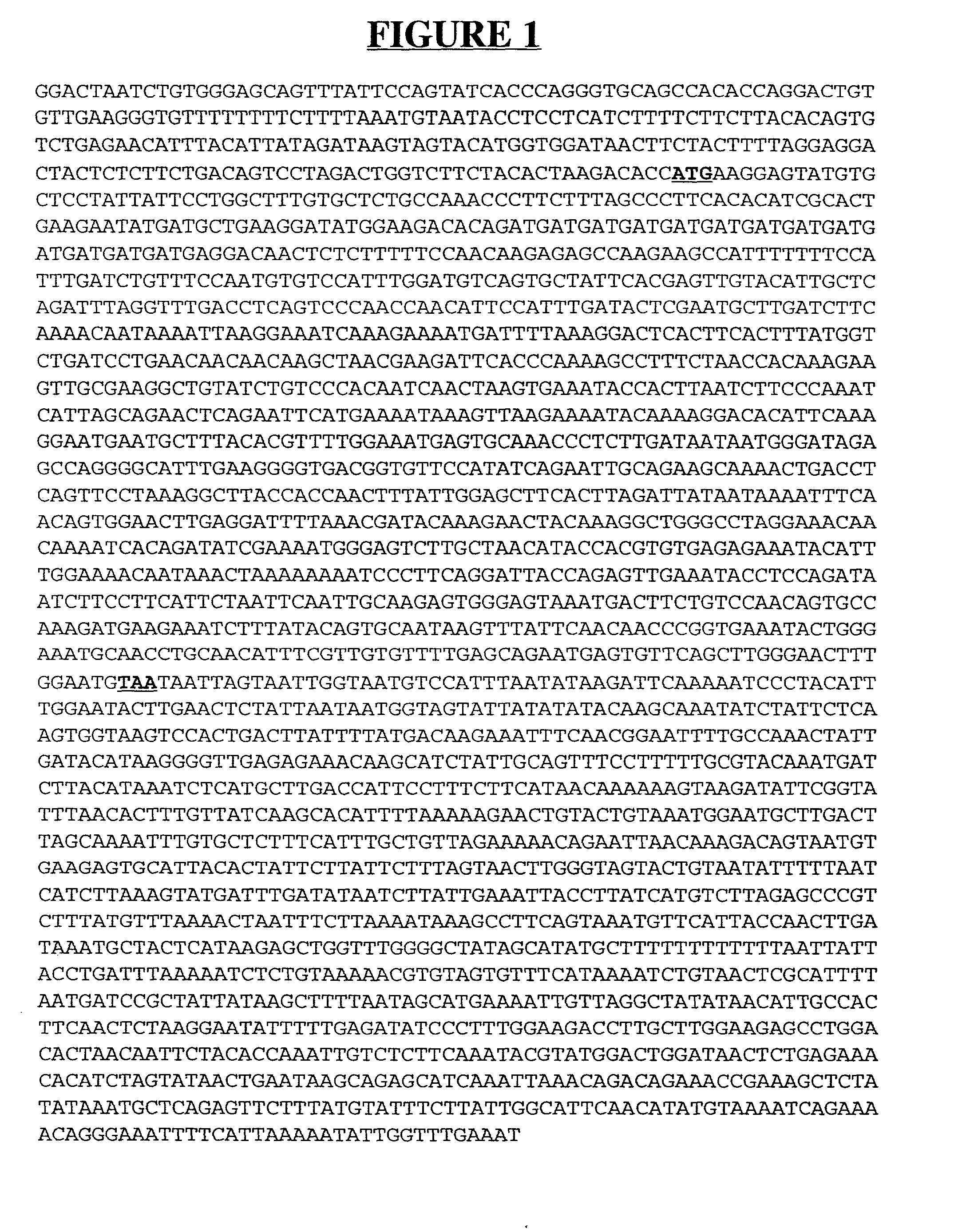 Secreted and transmembrane polypeptides and nucleic acids encoding the same