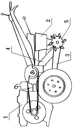 Uniform fertilizer spreading device