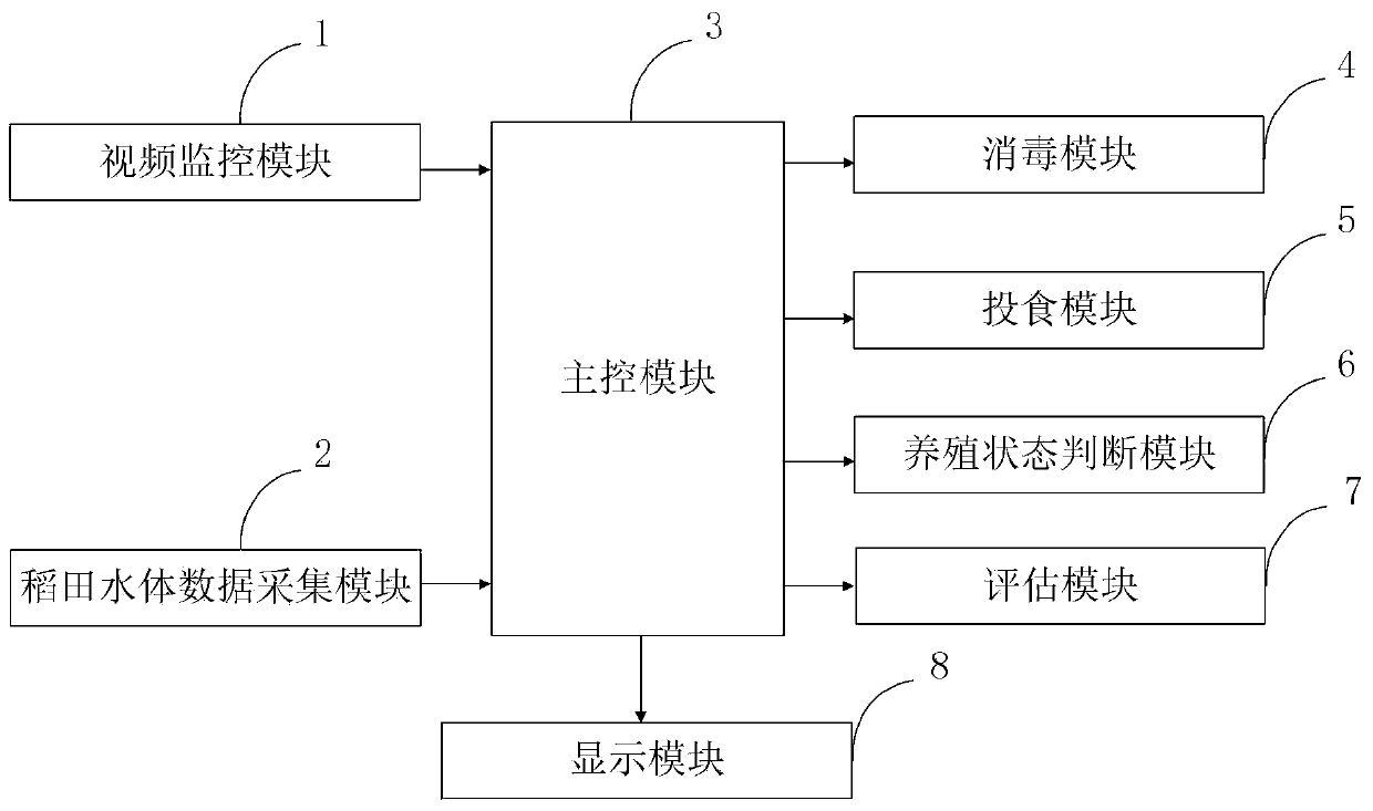 Procypris merus rice field ecological breeding information processing method and system