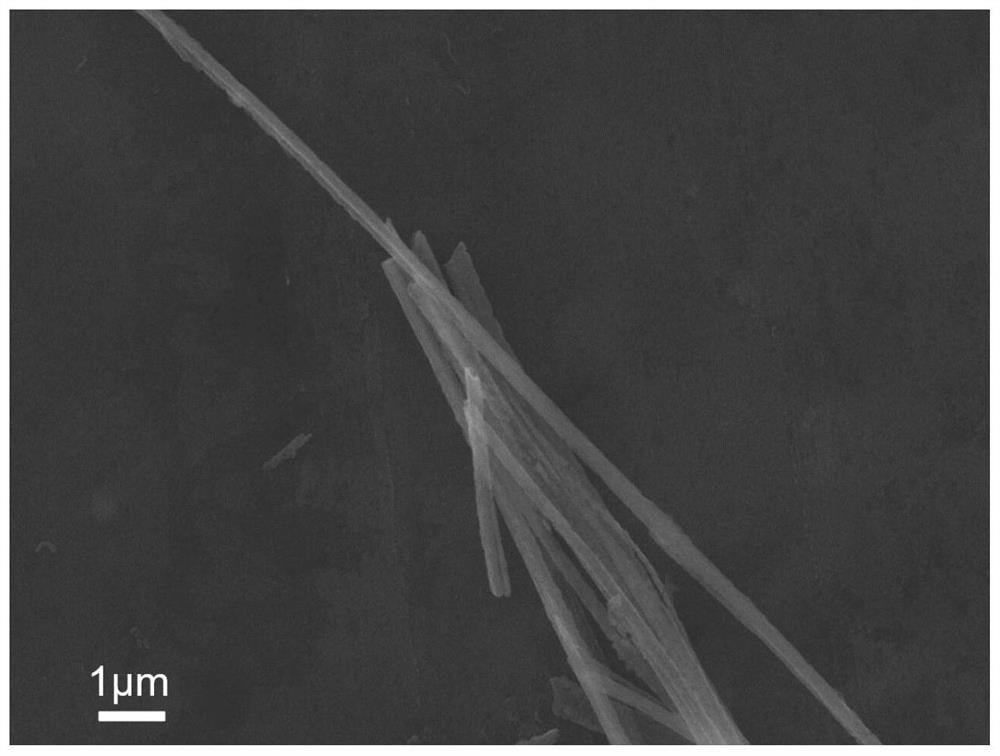 Zn2V2O6 nanowire, preparation method thereof and zinc ion battery positive electrode containing Zn2V2O6 nanowire