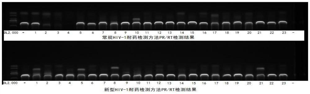 Establishment and application of new HIV-1 drug resistance detection method